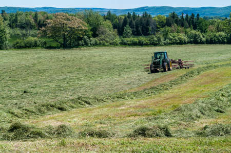 Swathing hayの写真素材
