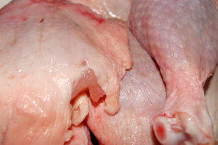 damp pieces of the henの写真素材