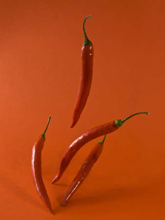 Pepperoniの写真素材