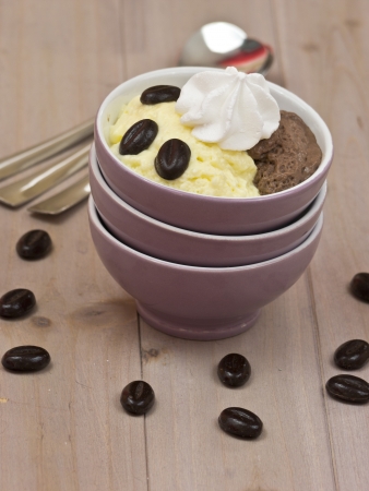 Vanilla and chocolate puddingの写真素材