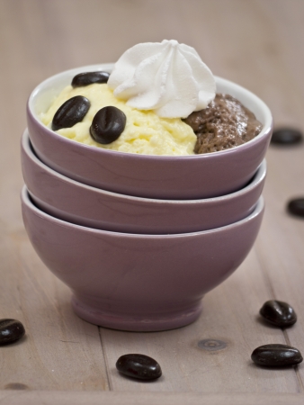 Vanilla and chocolate puddingの写真素材