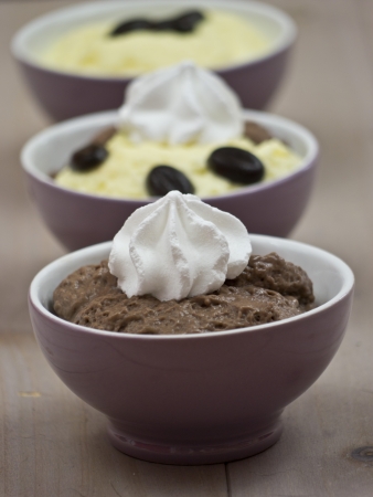 Vanilla and chocolate puddingの写真素材