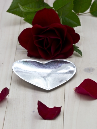 On a wooden tray recumbent red rose with rose sheetsの写真素材