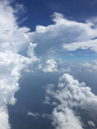 fly in the sky