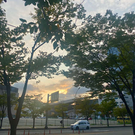 Sunset view of the street in Yokohama, Japan.の写真素材