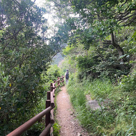 Hiking trail in the jungle. Hiking in the forest.の写真素材