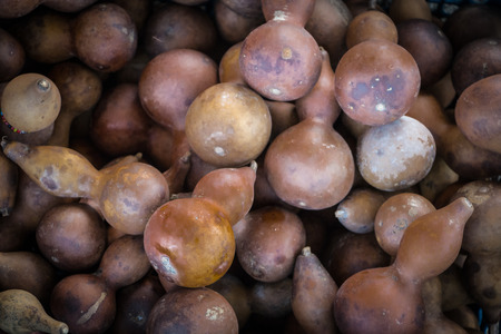 Dry calabashs are kept for sale on the market.の写真素材