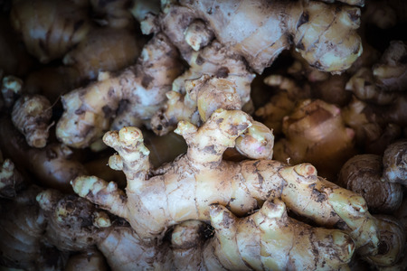 Fresh ginger that is kept for sale in the market.の写真素材