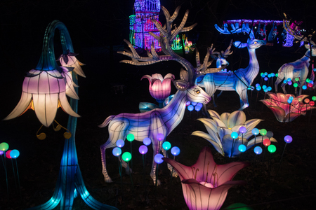 Chinese New Yearsの写真素材