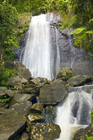 La Coca Falls El Yunque Puerto Ricoの写真素材