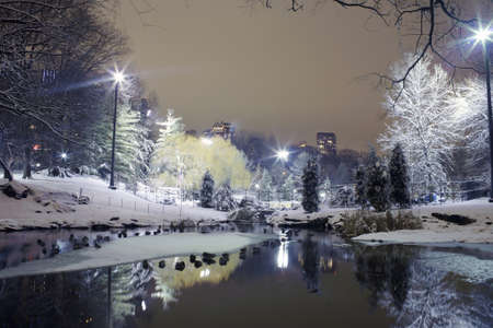 Photo of Central Park in New York City at night.  の写真素材