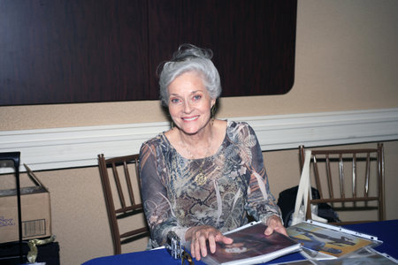 CHERRY HILL, NJ - JULY 13: Lee Ann Meriwether shown at the Super Mega Show and Comic Fest.  Taken July 13, 2008 in Cherry Hill, NJ.のeditorial素材