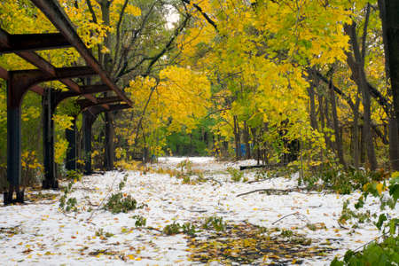 View of the Old Putnam trail where the railroad ran in Van Cortlandt Park, Bronx County New York.の写真素材