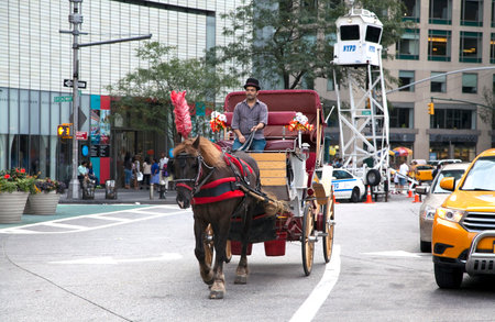 NEW YORK, NEW YORK - AUGUST 21: Man on horse drawn carriage rides through Columbus Circle.  Taken August 21, 2015 in  New York.のeditorial素材
