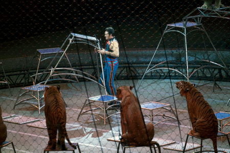 BROOKLYN, NEW YORK - MARCH 14: Alexander Lacey performs with animals during Ringling Bros show.  Taken March 14, 2017 in New York.のeditorial素材