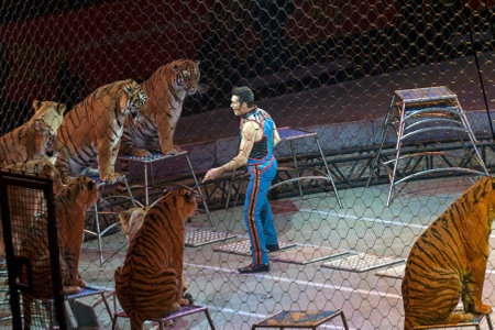 BROOKLYN, NEW YORK - MARCH 14: Alexander Lacey performs with animals during Ringling Bros show.  Taken March 14, 2017 in New York.のeditorial素材