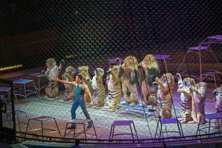 BROOKLYN, NEW YORK - FEBRUARY 25: Alexander Lacey performs with animals during Ringling Bros show.  Taken February 25, 2017 in New York.のeditorial素材