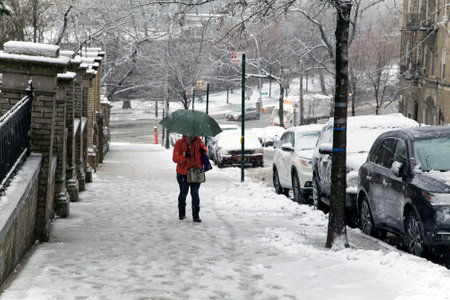 BRONX, NEW YORK - MARCH 7: Woman walks up pathway with umbrella during snow fall.  Taken March 7, 2018 in New York.のeditorial素材