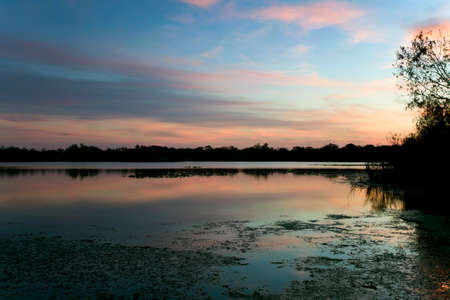 Inside Secret Lake Park at sunset located on Triplet lake drive,  Casselberry Florida.の写真素材