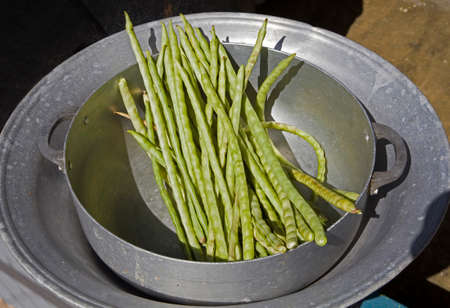 black eyed peas still in shell in aluminum pot.の写真素材