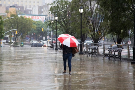 BRONX, NEW YORK/USA - September 25, 2018: Woman walks with umbrella in rain near Yankee Stadium.のeditorial素材