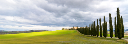 PIENZA, ITALY - January 25, 2015: day view of tuscan landscape with typical cypress alley near Pienza, Italy.  In 2004 the Val dOrcia was added to the UNESCO list of World Heritage Sites.の写真素材