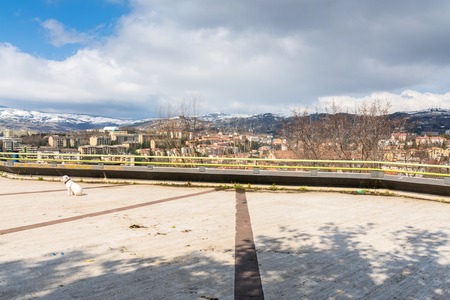 POTENZA, ITALY - MARCH 13, 2015: dog and panoramic view of city and mountains in Potenza, Italy. Potenza is the highest regional capital city in Italy.のeditorial素材