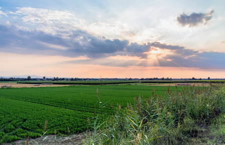 landscape at sunset with dramatic sky in Reggio Emilia, Italyの写真素材
