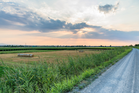 landscape at sunset with dramatic sky in Reggio Emilia, Italyの写真素材