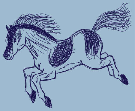 sketch horseのイラスト素材