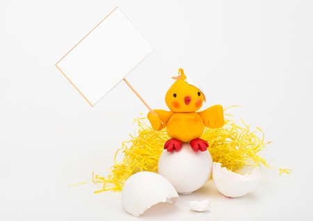 Chicken in the nest