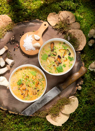 soup with mushrooms stump tree wood moss forest mushroom knife garlic saltの写真素材