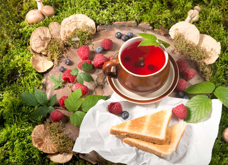 raspberry tea on a stump in the forest mushrooms and berriesの写真素材