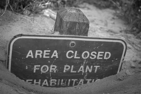 Torrey Pines State Reservesの写真素材