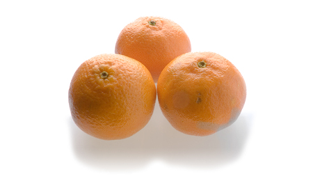 three mandarins, front view, isolated on whiteの写真素材