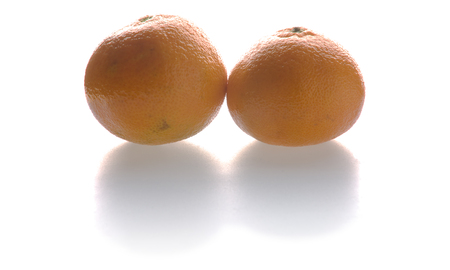 two mandarins, perspective from the front, isolated on whiteの写真素材