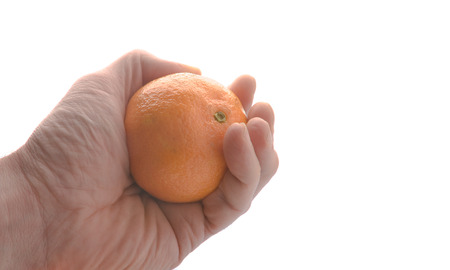 Hand holds a mandarin, isolated on whiteの写真素材