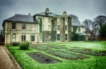 Darwin house in a rainy dayの素材