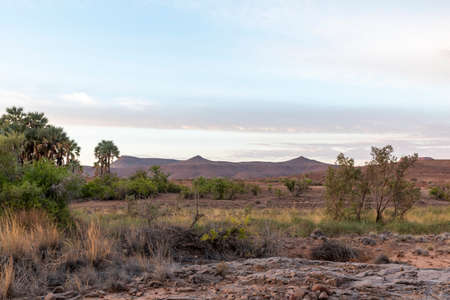 Scenic sunset view over Palwag landscape in Damaraland, Namibia.の写真素材