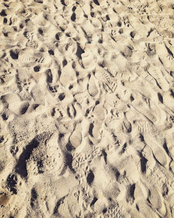 Steps and paths in the sand of the beachの写真素材