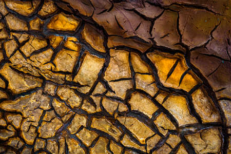 backgorung, yellow and brown texturesの写真素材