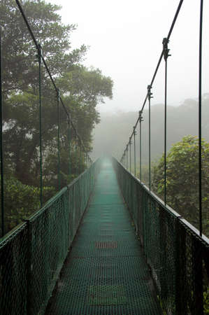 Suspension Bridge in the Rainforest - Costa Ricaの写真素材