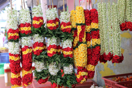 Roses and flower arrangements in Singaporeの写真素材