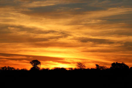 Quiver Tree Forest near Keetmanshoop - aloe dichotoma at sunset - Namibiaの写真素材