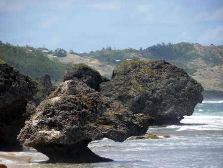 steep coast with big rocks in the sea - Barbadosの写真素材