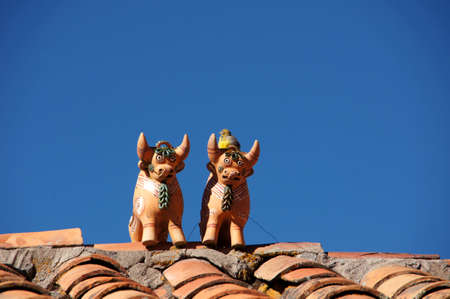 Two bulls on the roof - Peru South Americaの写真素材