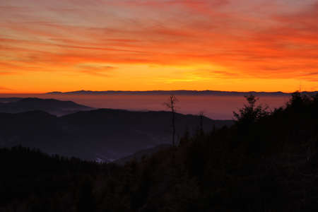 Beautiful Black Forest at sunset - Mummelsee, Germany