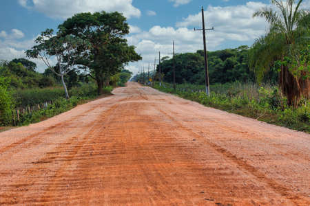 Transpantaneira (MT-060) - Pantanal, Mato Grosso do Sul, Brazilの写真素材