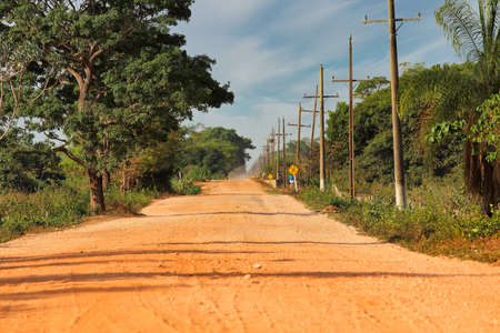Transpantaneira (MT-060) - Pantanal, Mato Grosso do Sul, Brazilの写真素材