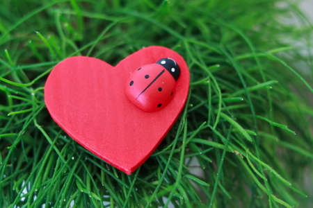 A red heart with lady beetle